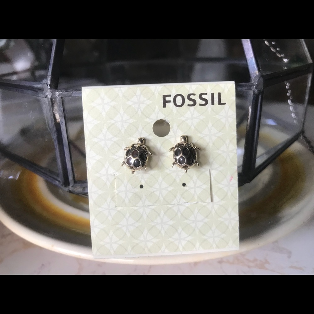 Fossil Turtle Earrings